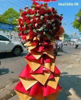 Mẫu Hoa HH1495