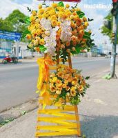 Mẫu Hoa HH1501
